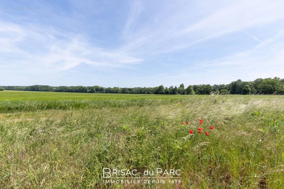 Terrain à ARCEAU