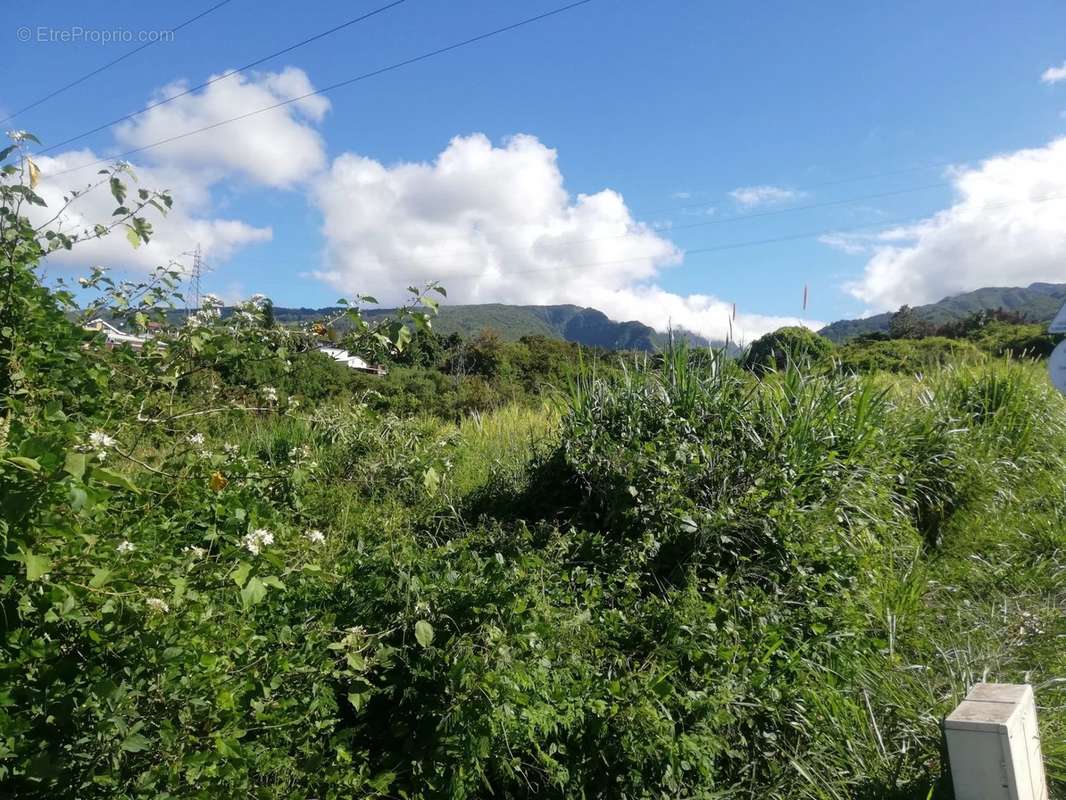 Terrain à SAINT-DENIS