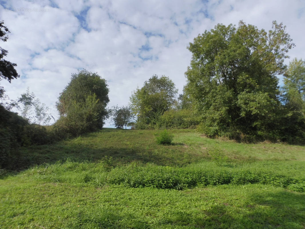 Terrain à AGEN