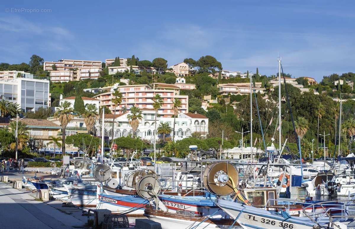 Commerce à LE LAVANDOU