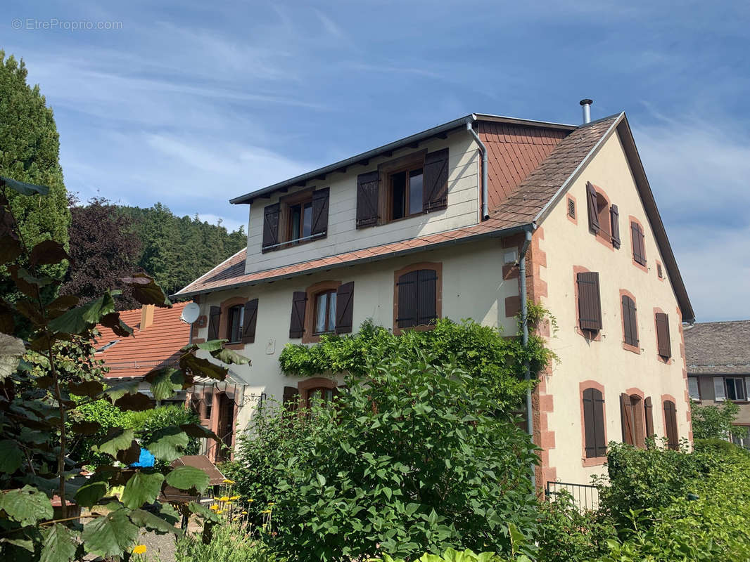 Appartement à WANGENBOURG-ENGENTHAL