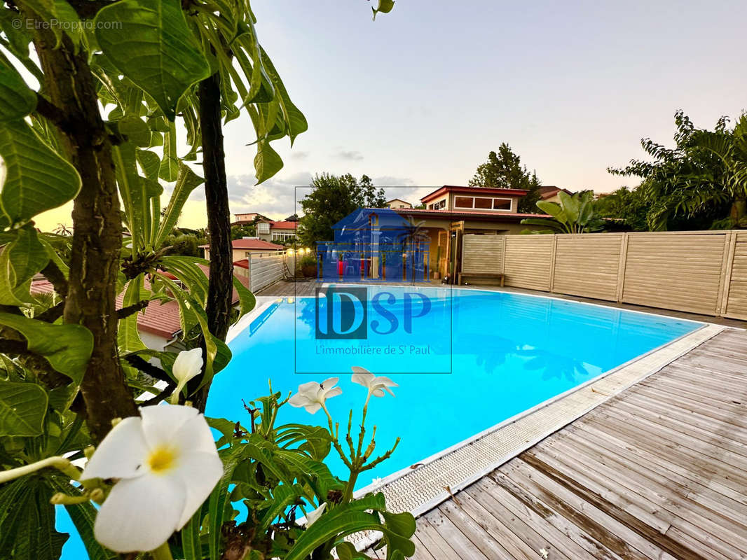 piscine et terrasse  - Maison à LA POSSESSION