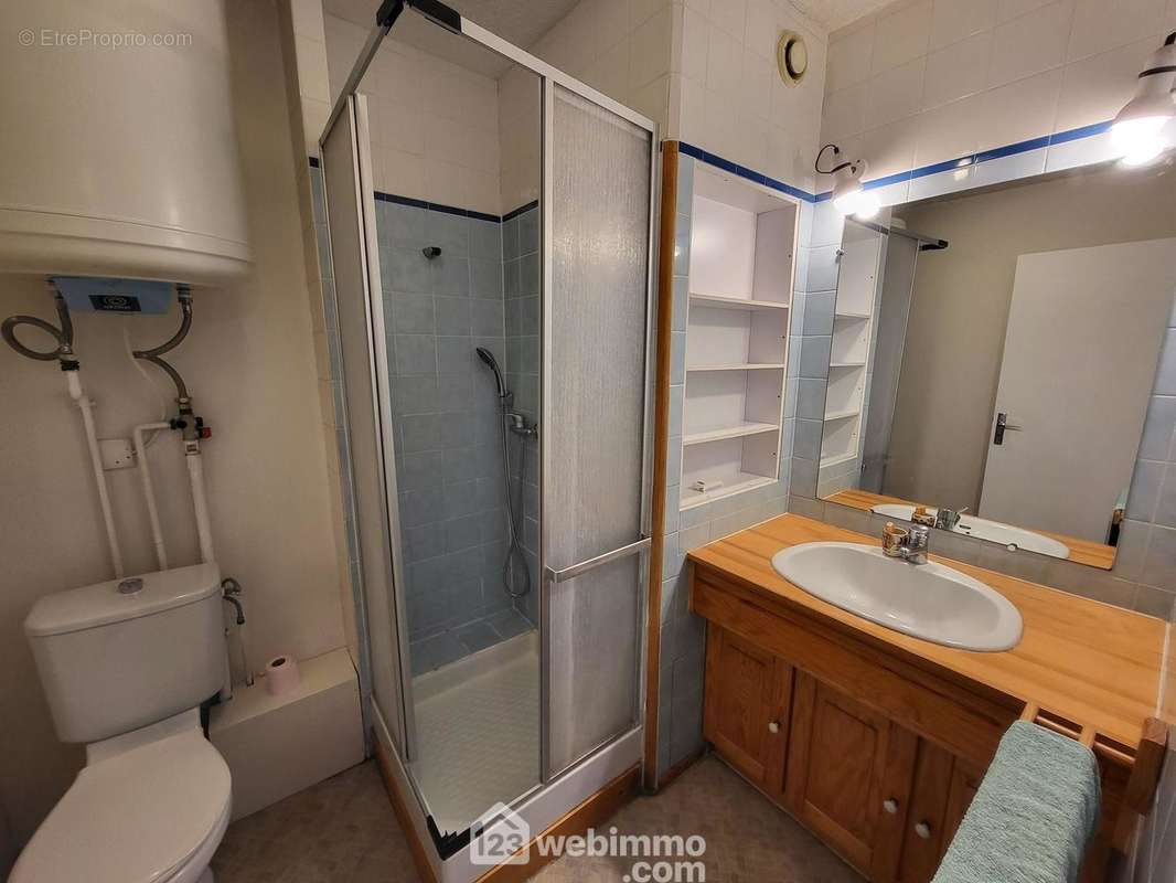 La salle d&#039;eau avec douche et WC - Appartement à BORDEAUX