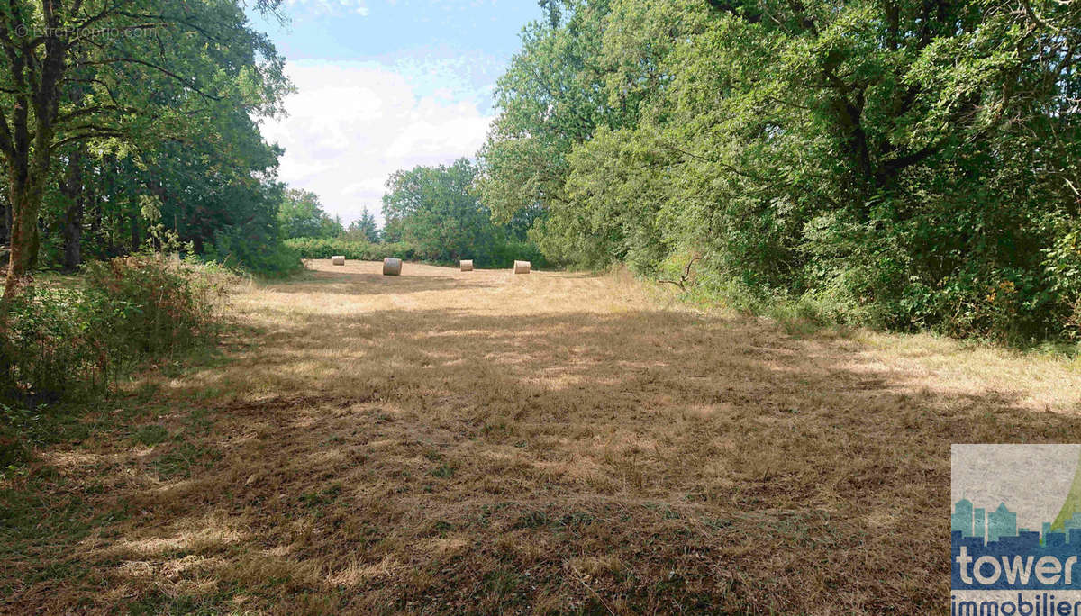 Terrain à VILLENEUVE