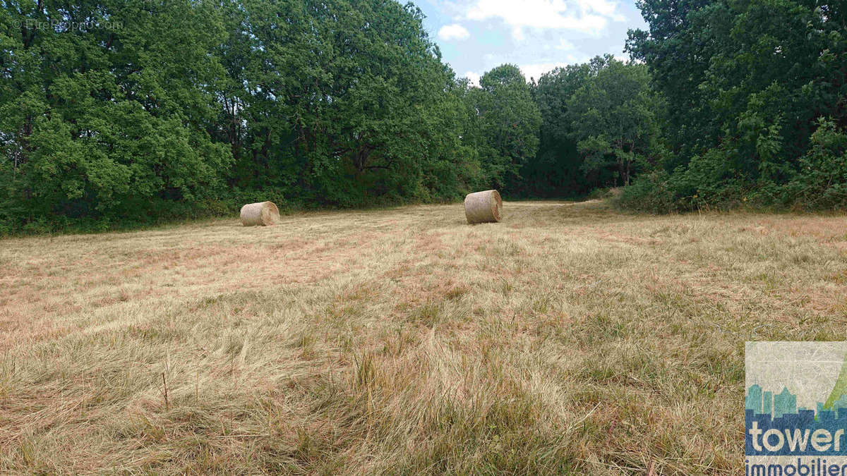 Terrain à VILLENEUVE