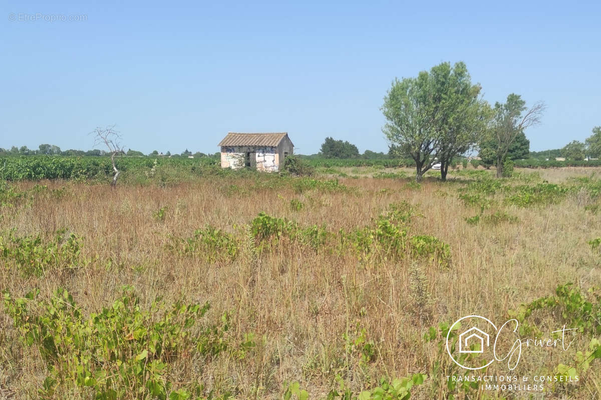 Terrain à GALLARGUES-LE-MONTUEUX