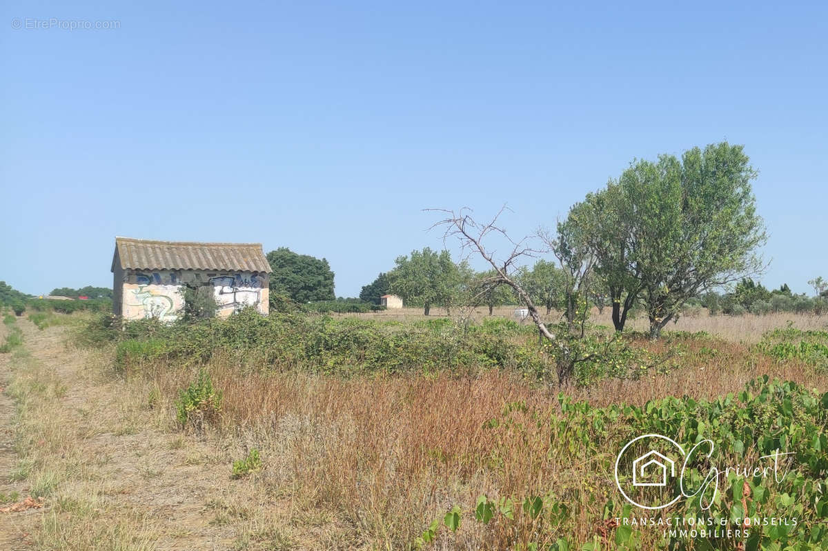 Terrain à GALLARGUES-LE-MONTUEUX