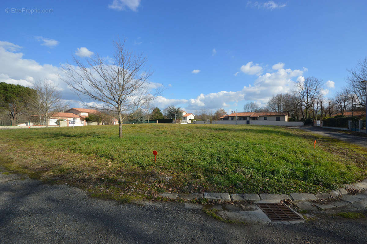 Terrain à MONTAUBAN