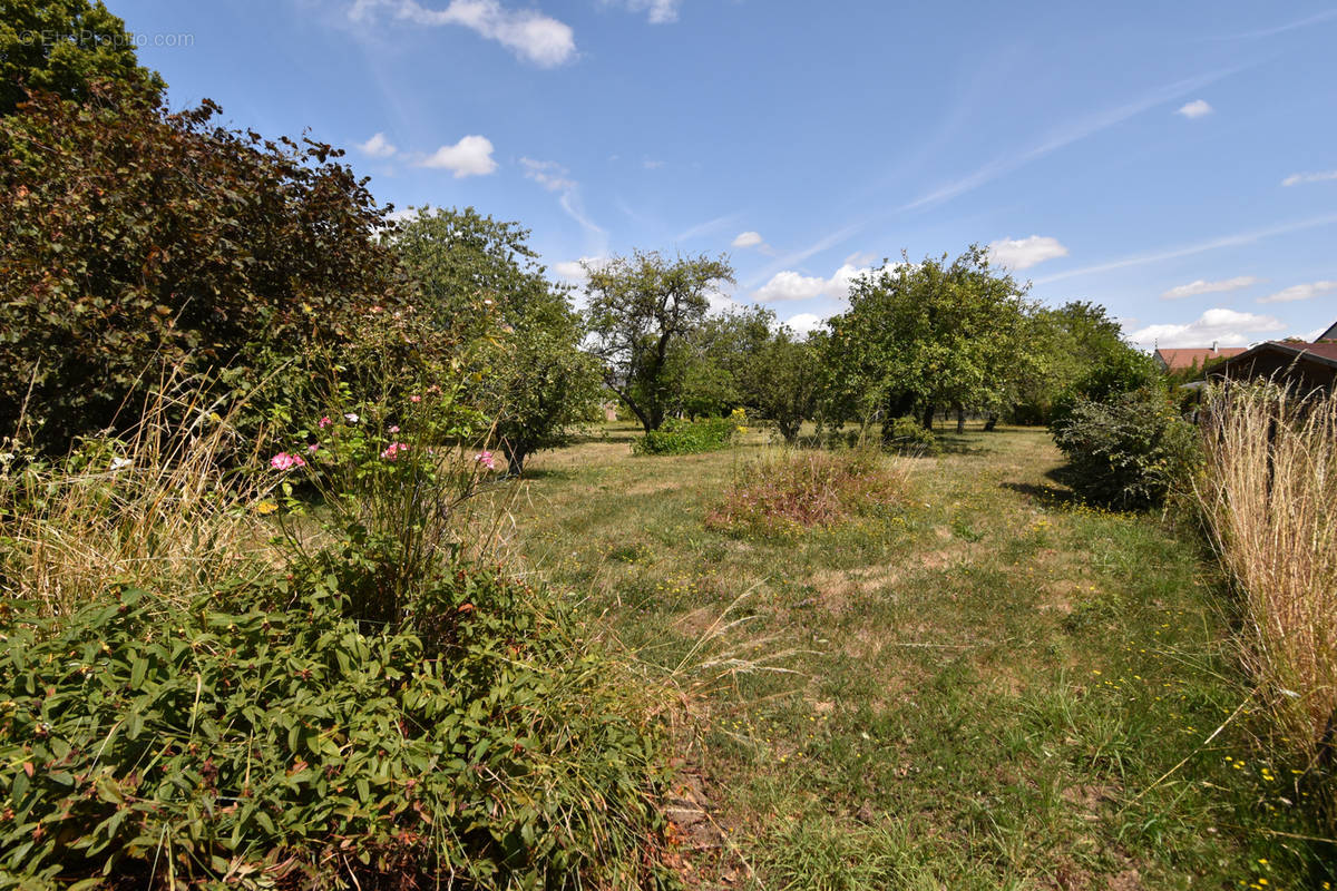 Terrain à BROU