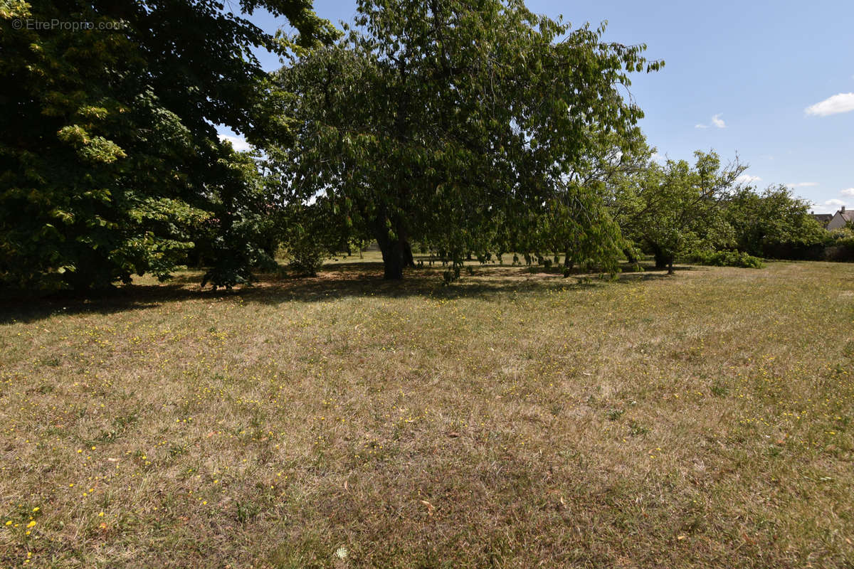 Terrain à BROU