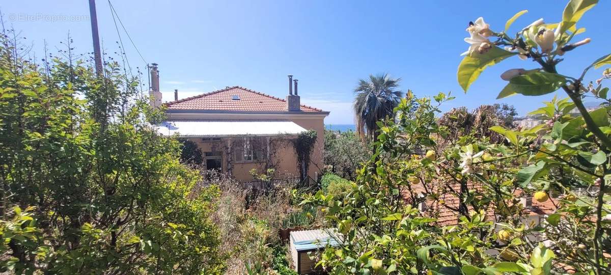 Maison à MENTON