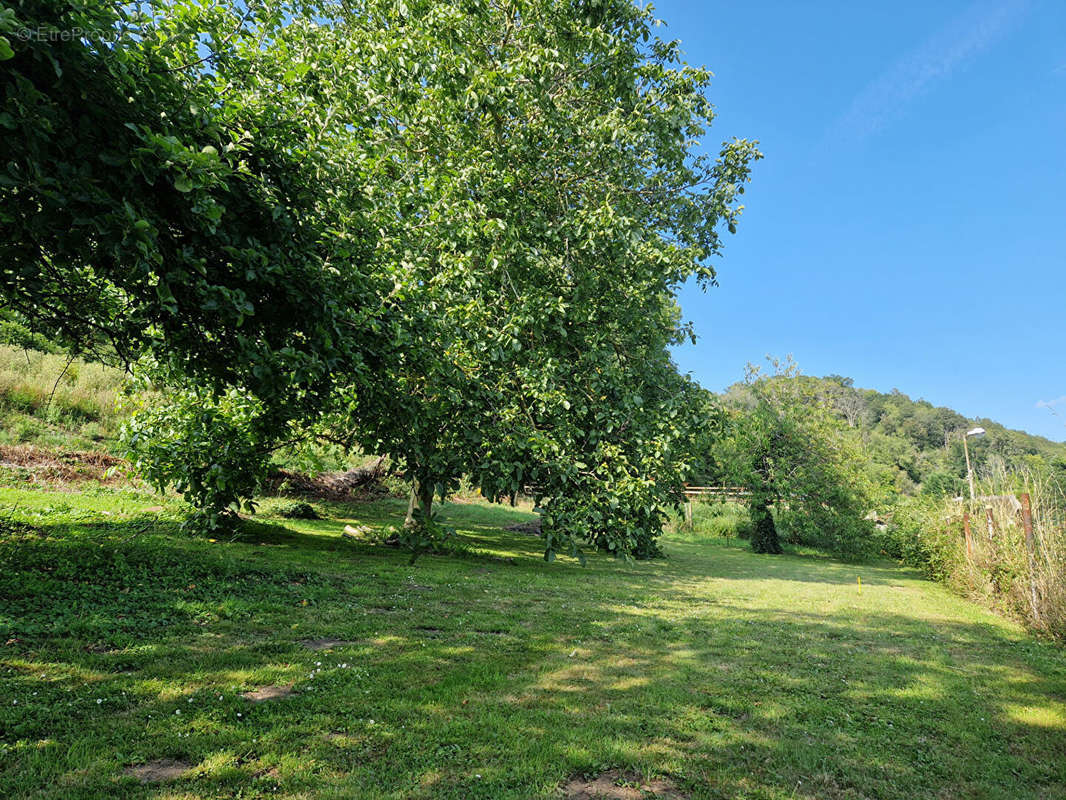 Terrain à SAINT-ROMAIN-DE-COLBOSC