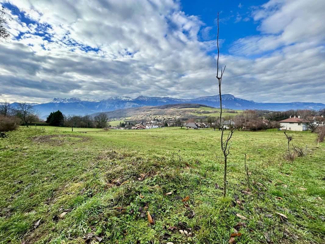 Terrain à JARRIE