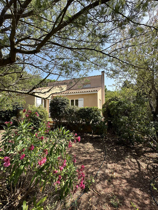 Maison à SAINT-CYPRIEN