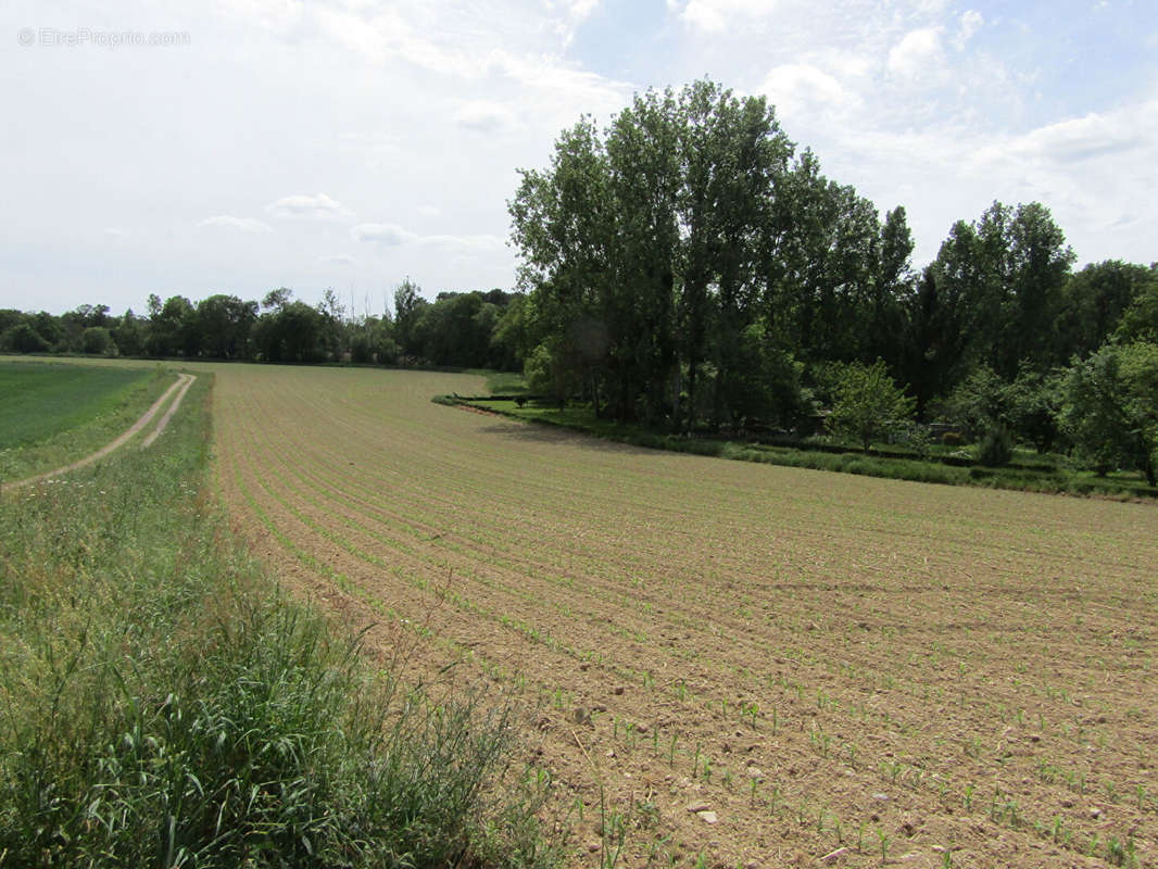 Terrain à CARENTOIR