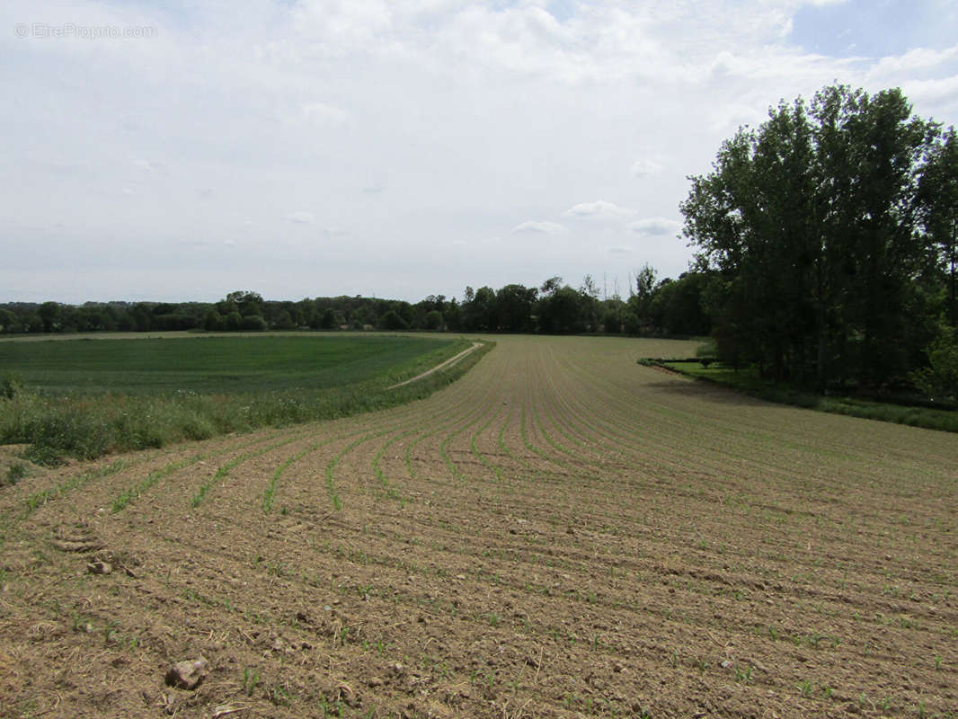 Terrain à CARENTOIR