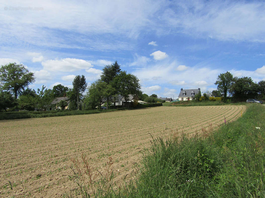 Terrain à CARENTOIR