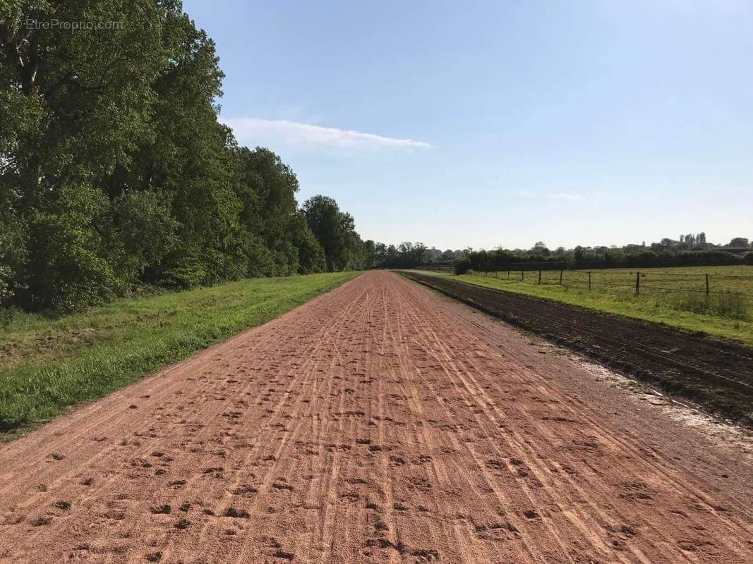 2 pistes : 1000 m et 950 m - Maison à CABOURG