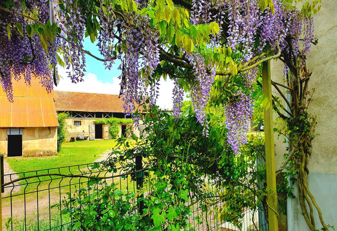 Maison à COULEUVRE