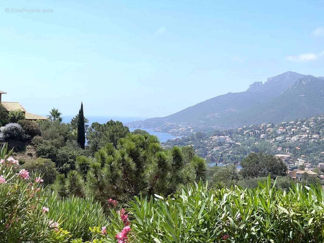 Appartement à THEOULE-SUR-MER