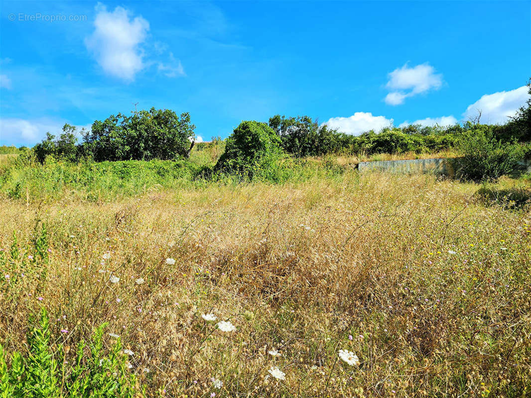 Terrain à LIMOUX