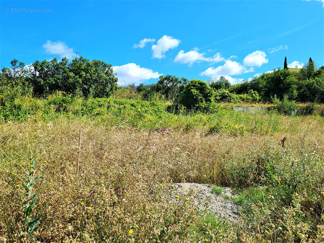 Terrain à LIMOUX