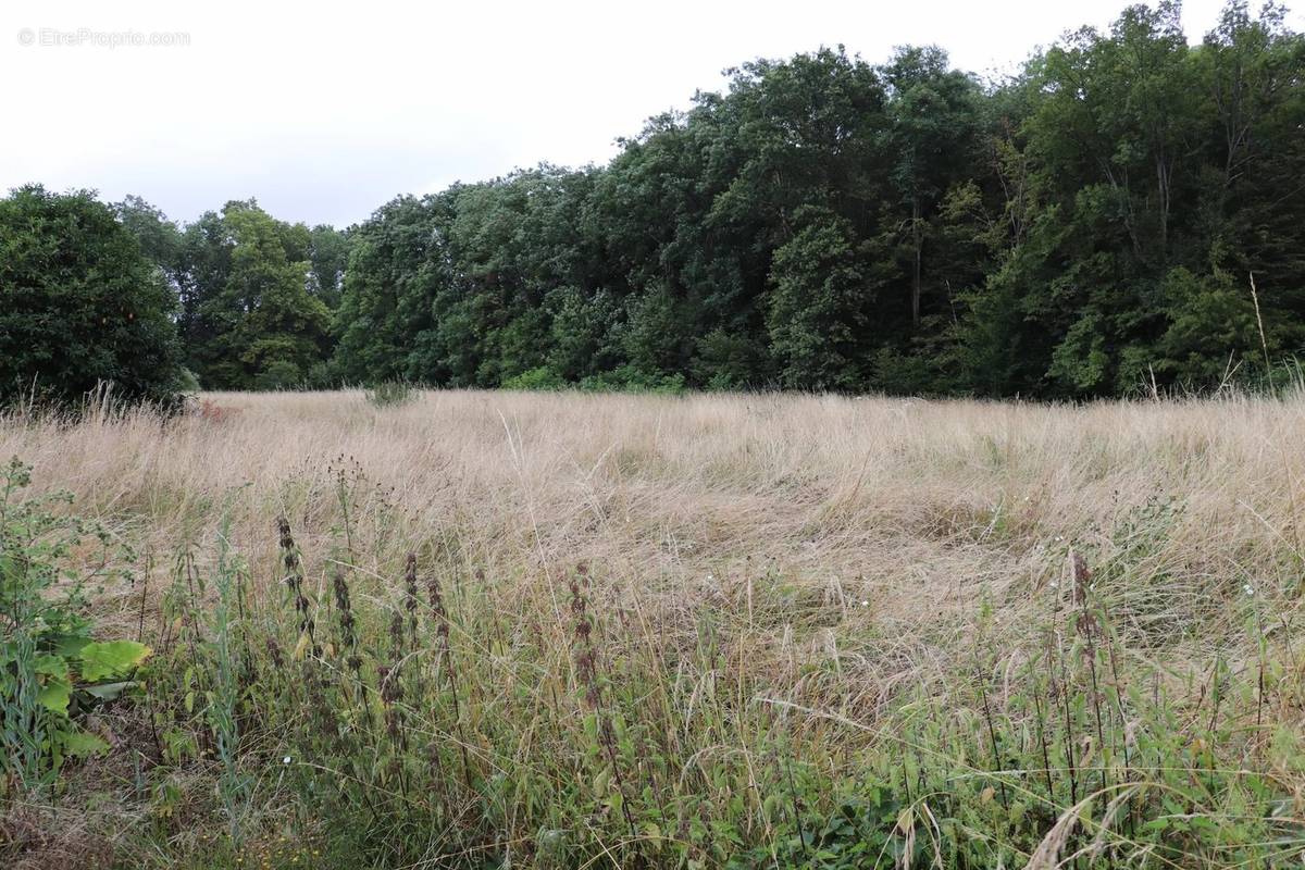 Terrain à LA FERTE-SOUS-JOUARRE