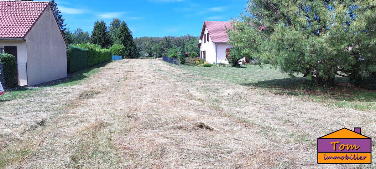 Terrain à PLANCHER-BAS