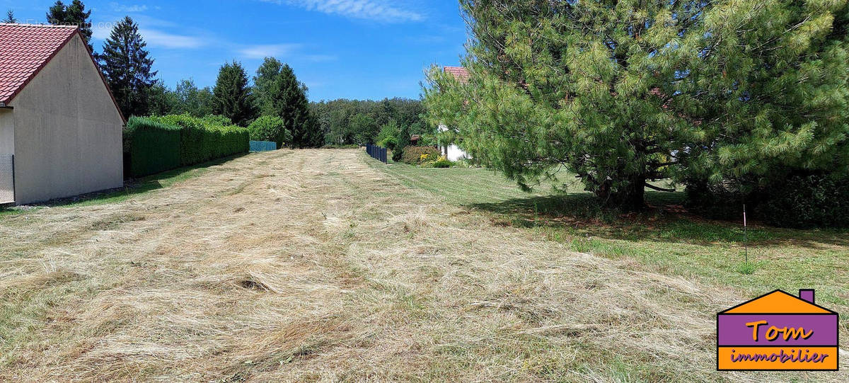 Terrain à PLANCHER-BAS