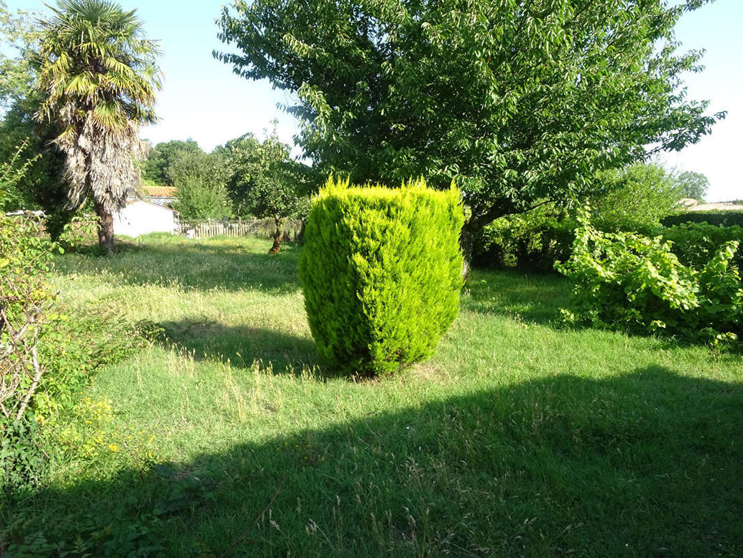 Terrain à SAINT-PALAIS-SUR-MER