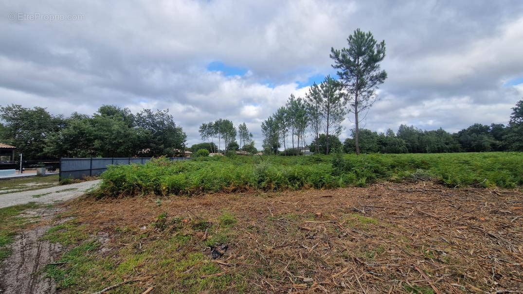 Terrain à LE TEICH