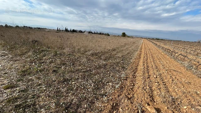 Terrain à CLAIRA