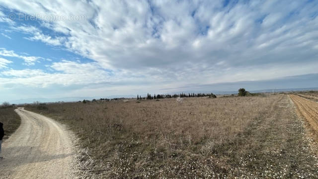 Terrain à CLAIRA