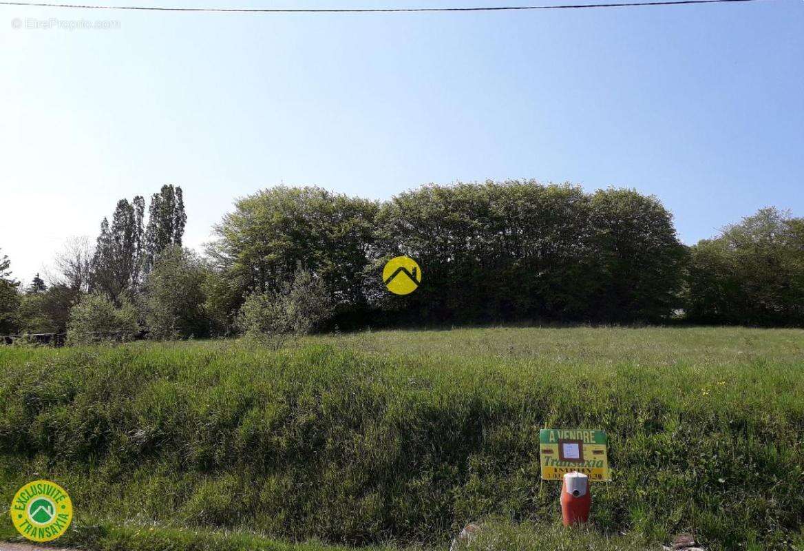 Terrain à GUERIGNY