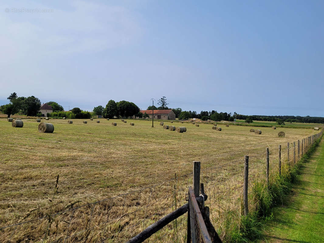 Terrain à SAINT-YRIEIX-LA-PERCHE