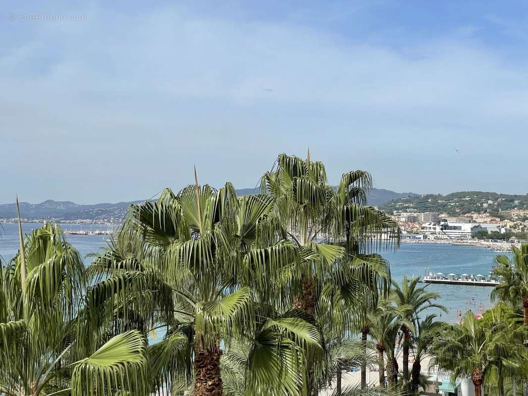 Appartement à CANNES