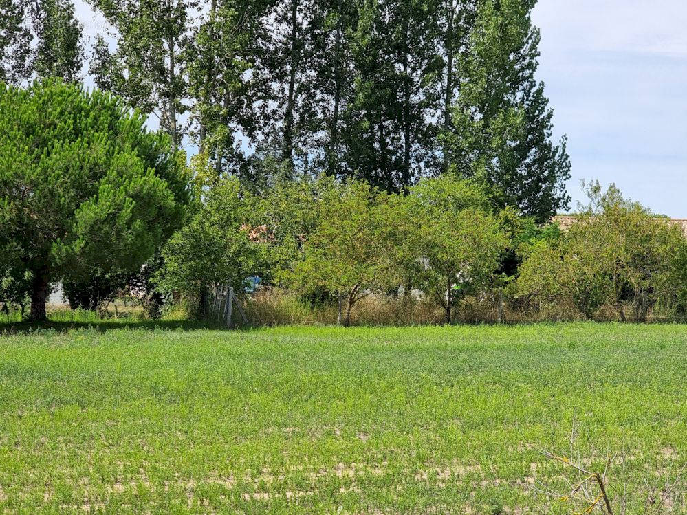 Terrain à SAINT-JEAN-DE-MONTS