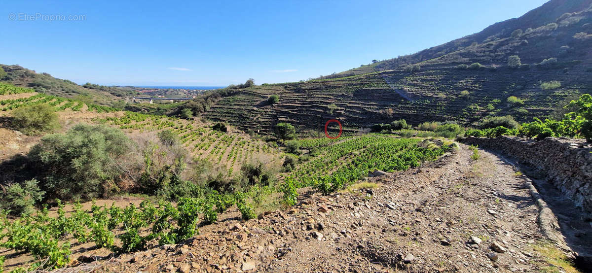 Terrain à COLLIOURE