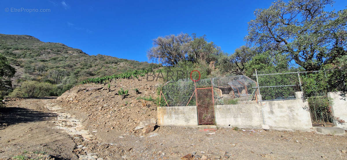 Terrain à COLLIOURE