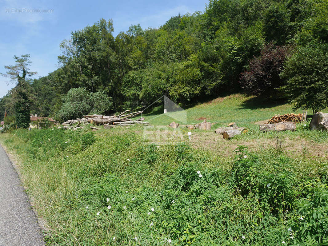 Terrain à SAINT-FAUST