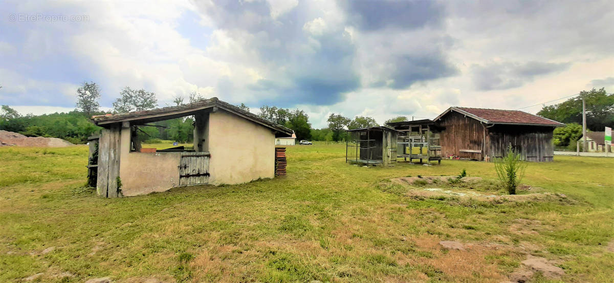 Maison à BAZAS