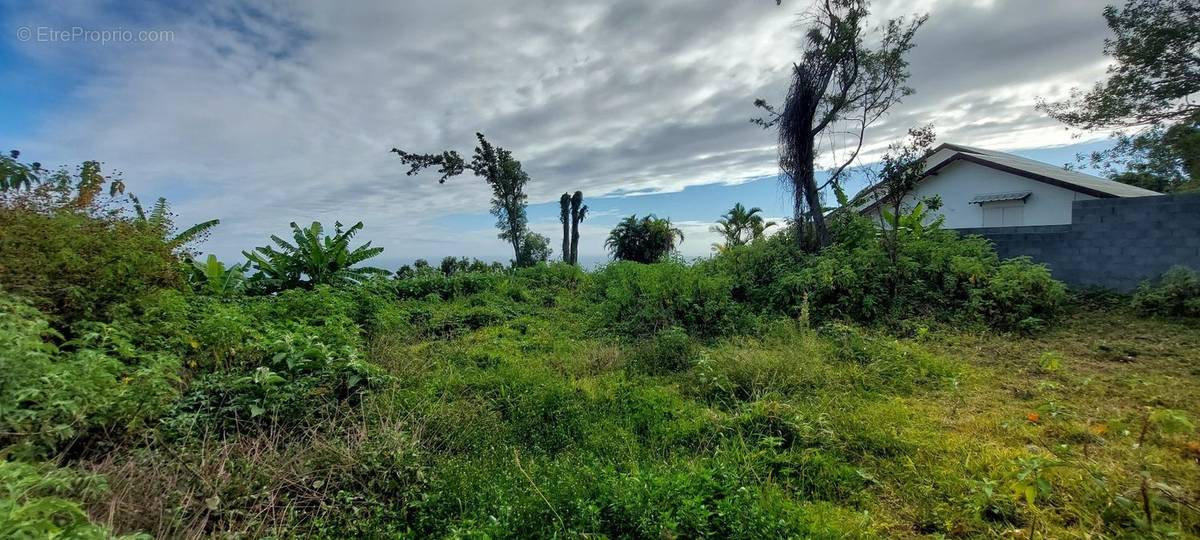 Terrain à SAINT-DENIS