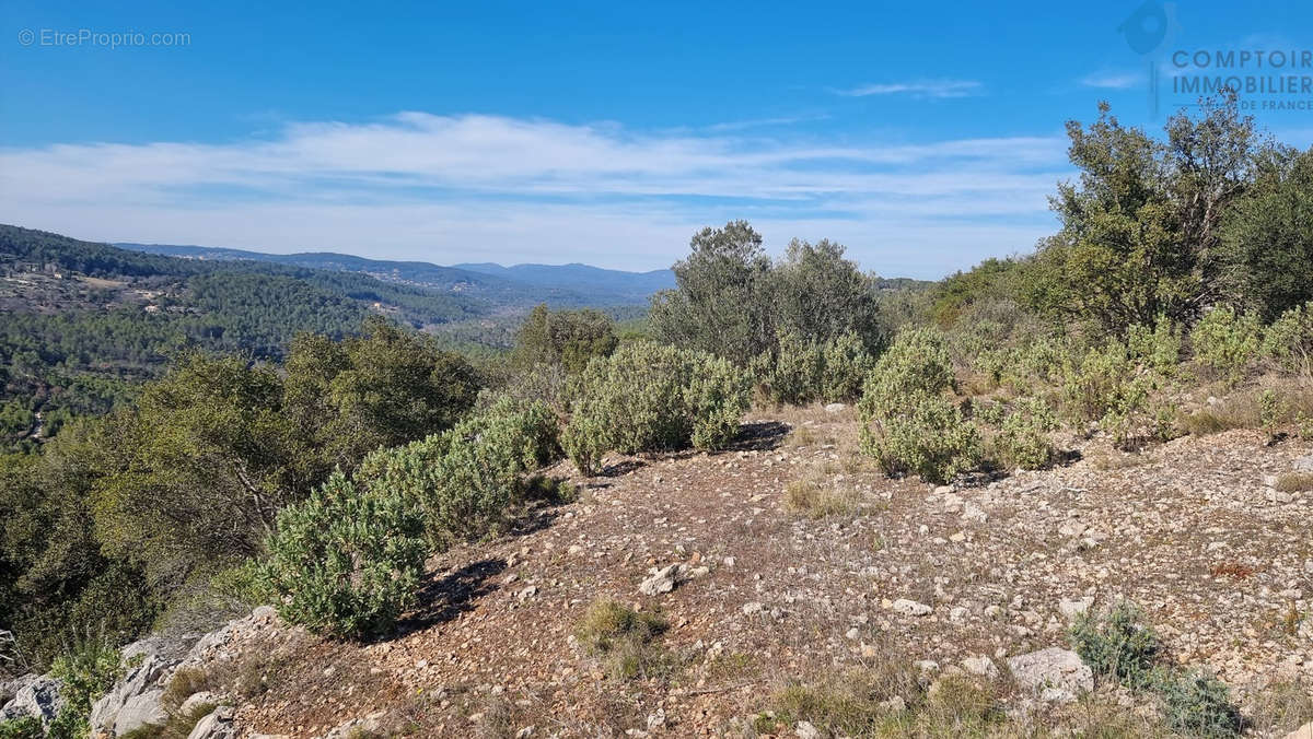 Terrain à TARADEAU