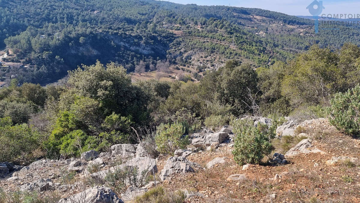 Terrain à TARADEAU