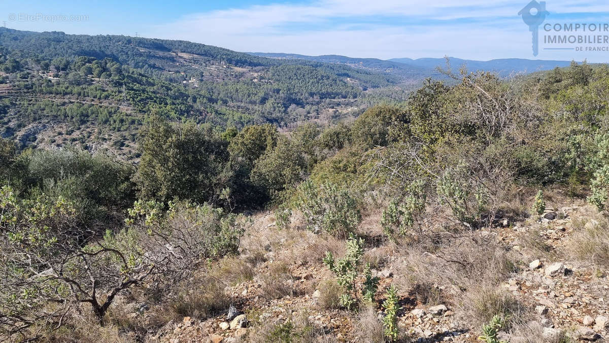 Terrain à TARADEAU