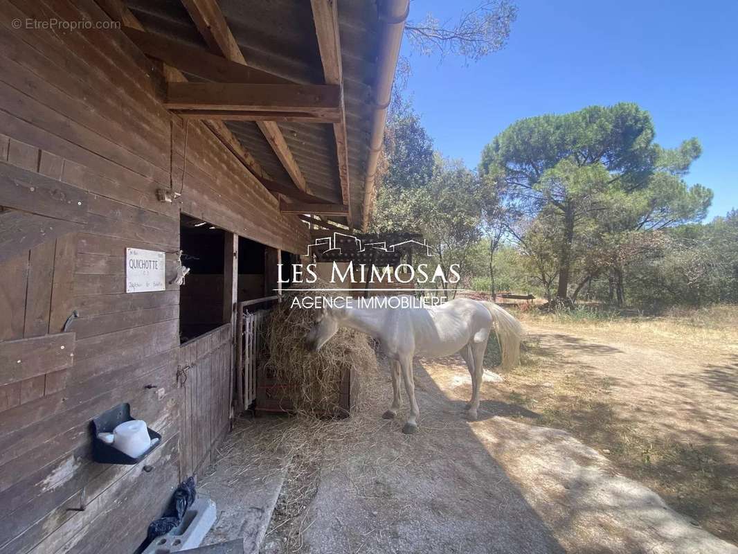 Maison à ROQUEBRUNE-SUR-ARGENS