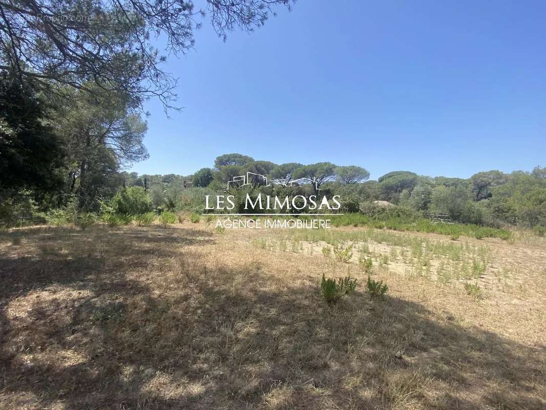 Maison à ROQUEBRUNE-SUR-ARGENS