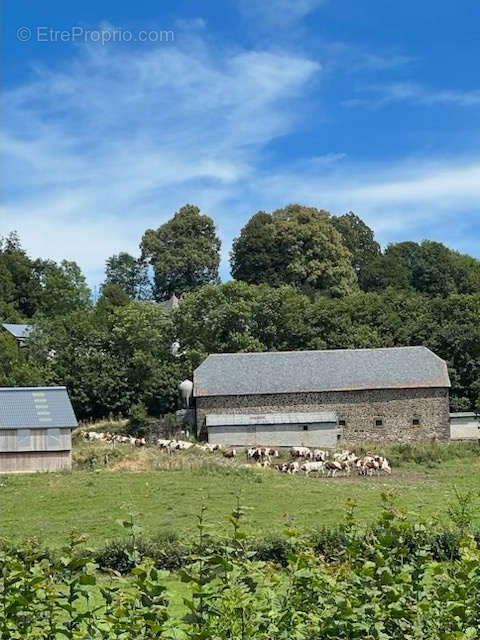 Maison à SAINT-CERNIN