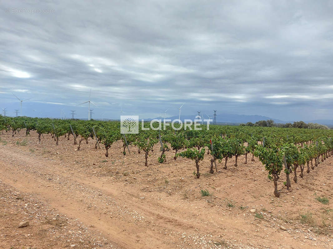 Terrain à CALCE