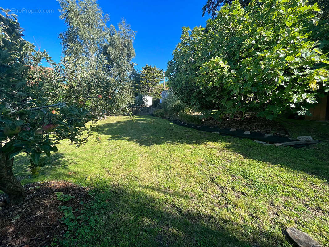 Terrain à SAVENAY